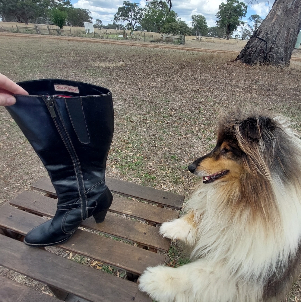 Diana Ferrari calf high black boots. Size 8 - Picture 6 of 6